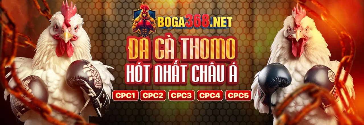Đá Gà Trực Tuyến tin888 code - Trận Đấu Gà Kịch Tính
