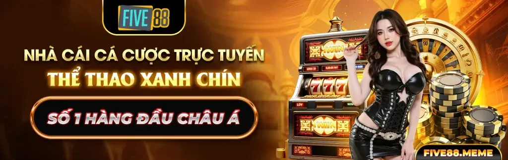 Lý do chọn Tin888 Code